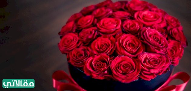 صور للورود الحمراء تدل على عيد الحب