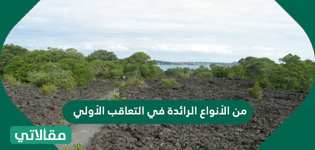 من الأنواع الرائدة في التعاقب الأولي