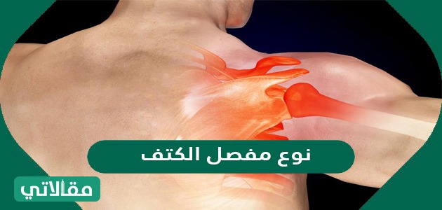 نوع مفصل الكتف