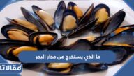 ما الذي يستخرج من محار البحر