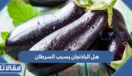 هل الباذنجان يسبب السرطان 