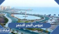 ما هي عروس البحر الاحمر ؟