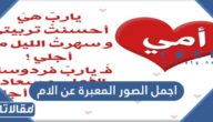 اجمل الصور المعبرة عن الام 2025