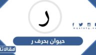 اسم حيوان بحرف ر الراء