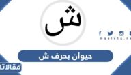 اسم حيوان بحرف ش الشين