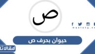 اسم حيوان بحرف ص الصاد