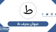 اسم حيوان بحرف ط الطاء