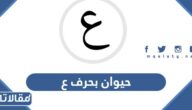 اسم حيوان بحرف ع العين