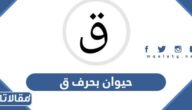 اسم حيوان بحرف ق القاف