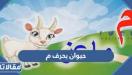 اسم حيوان بحرف م الميم