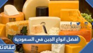 افضل انواع الجبن في السعودية