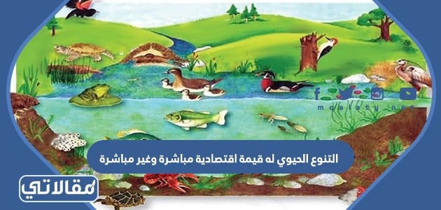 يسهم التنوع الحيوي في استقرار النظام البيئي