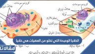 الخلايا الوحيدة التي تخلو من العضيات هي خلايا