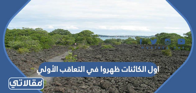 اول الكائنات ظهروا في التعاقب الأولي
