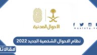 تفاصيل نظام الاحوال الشخصية الجديد 2025