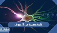 حل لغز خلية عصبية من 5 حروف لعبة فطحل