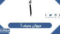 اسم حيوان بحرف أ الألف