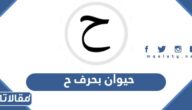 اسم حيوان بحرف ح الحاء