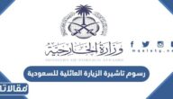 رسوم تاشيرة الزيارة العائلية للسعودية 2026