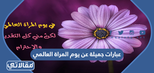 عبارات جميلة عن يوم المرأة العالمي 2023