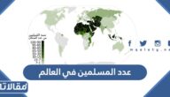 كم عدد المسلمين في العالم 2025