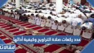 عدد ركعات صلاة التراويح وكيفية أدائها