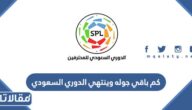 كم باقي جوله وينتهي الدوري السعودي