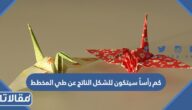 كم رأساً سيتكون للشكل الناتج عن طي المخطط