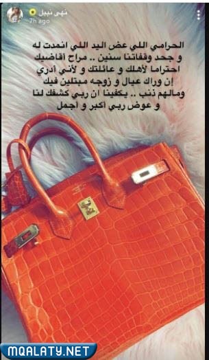 كم سعر شنطة نهى نبيل المسروقه
