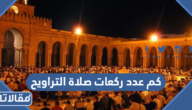 كم عدد ركعات صلاة التراويح