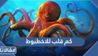 كم قلب للاخطبوط