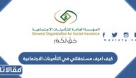 كيف اعرف مستحقاتي في التأمينات الاجتماعية 1448