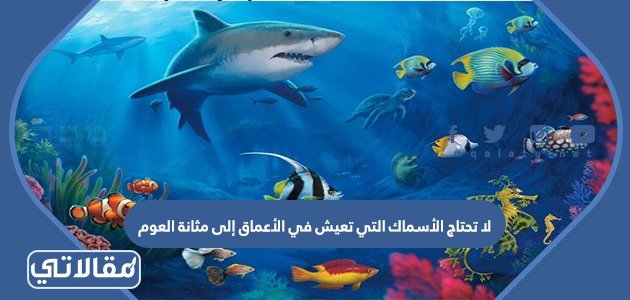 لا تحتاج الأسماك التي تعيش في الأعماق إلى مثانة العوم صح أم خطأ