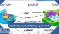 مالعضيات التي توجد في الخلايا النباتية ولاتوجد في الخلايا الحيوانية؟