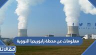 معلومات عن محطة زابوريجيا النووية