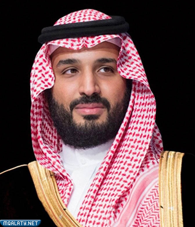 من هو وزير الدفاع السعودي١