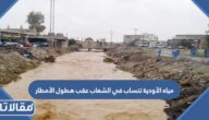 مياه الأودية تنساب في الشعاب عقب هطول الأمطار