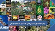 يسهم التنوع الحيوي في استقرار النظام البيئي صواب أم خطأ
