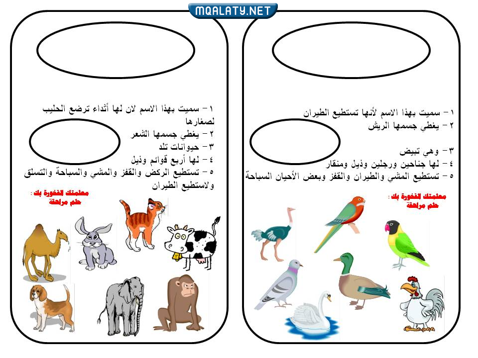 مطويات فارغة للعلوم