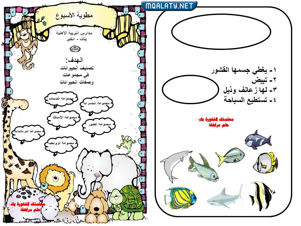 مطويات فارغة للعلوم