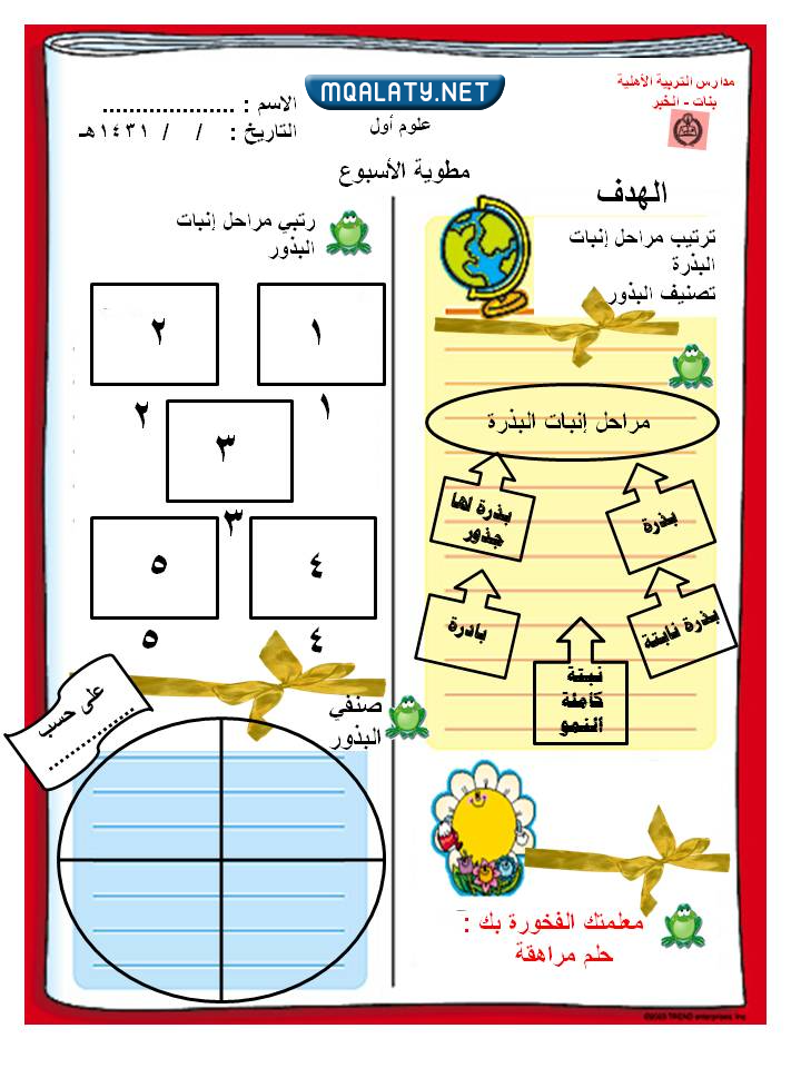 مطويات فارغة للعلوم