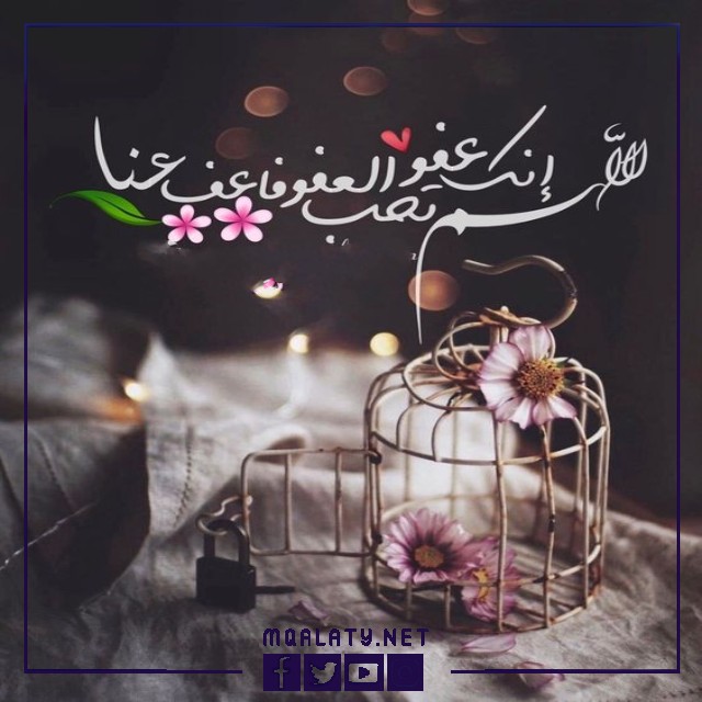 أحدث الصور عن ليلة القدر 2023