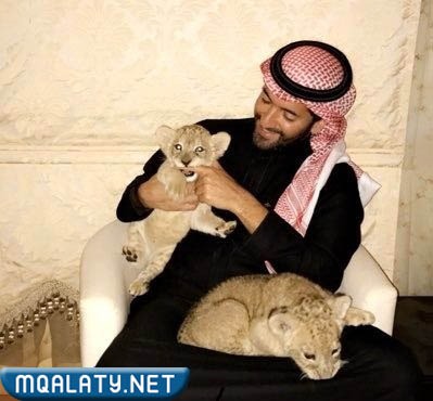 أنس التميمي السيرة الذاتية