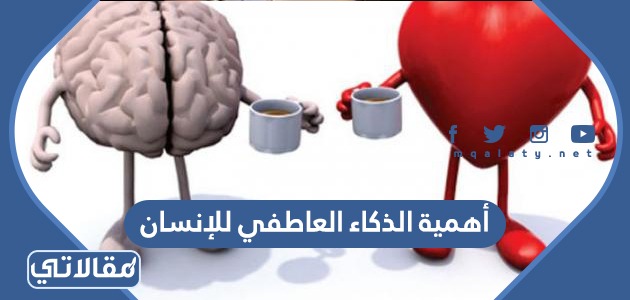 أهمية الذكاء العاطفي للإنسان