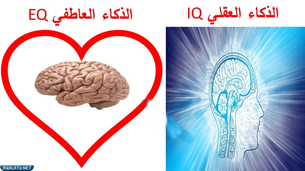 أهم الأساليب المستخدمة لتنمية الذكاء العاطفي