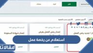 استعلام عن رخصة عمل عبر مكتب العمل mol.gov.sd