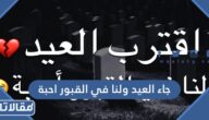 عبارات وصور جاء العيد ولنا في القبور احبة