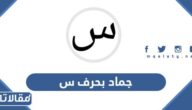 اسم جماد بحرف س السين