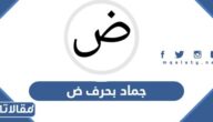 اسم جماد بحرف ض الضاد
