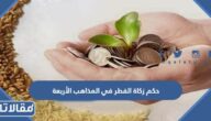 حكم زكاة الفطر في المذاهب الأربعة